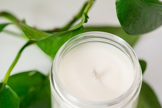 Exploring the Benefits of Aromatherapy with CandleLux’s Luxury Soy Essential Oil Candles for Clean Scents - Boston CandleLux