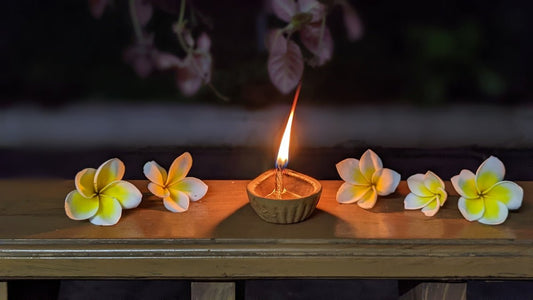 Amber Caress Luxury Massage Oil Candle Ignite Calm with CandleLux Aromatherapy and Vegan Japanese Orchid Candles - Boston CandleLux